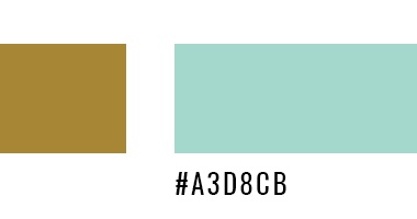 Download Dutch Lady Blogger Guide Special Color Palettes Fonts SVG Cut Files