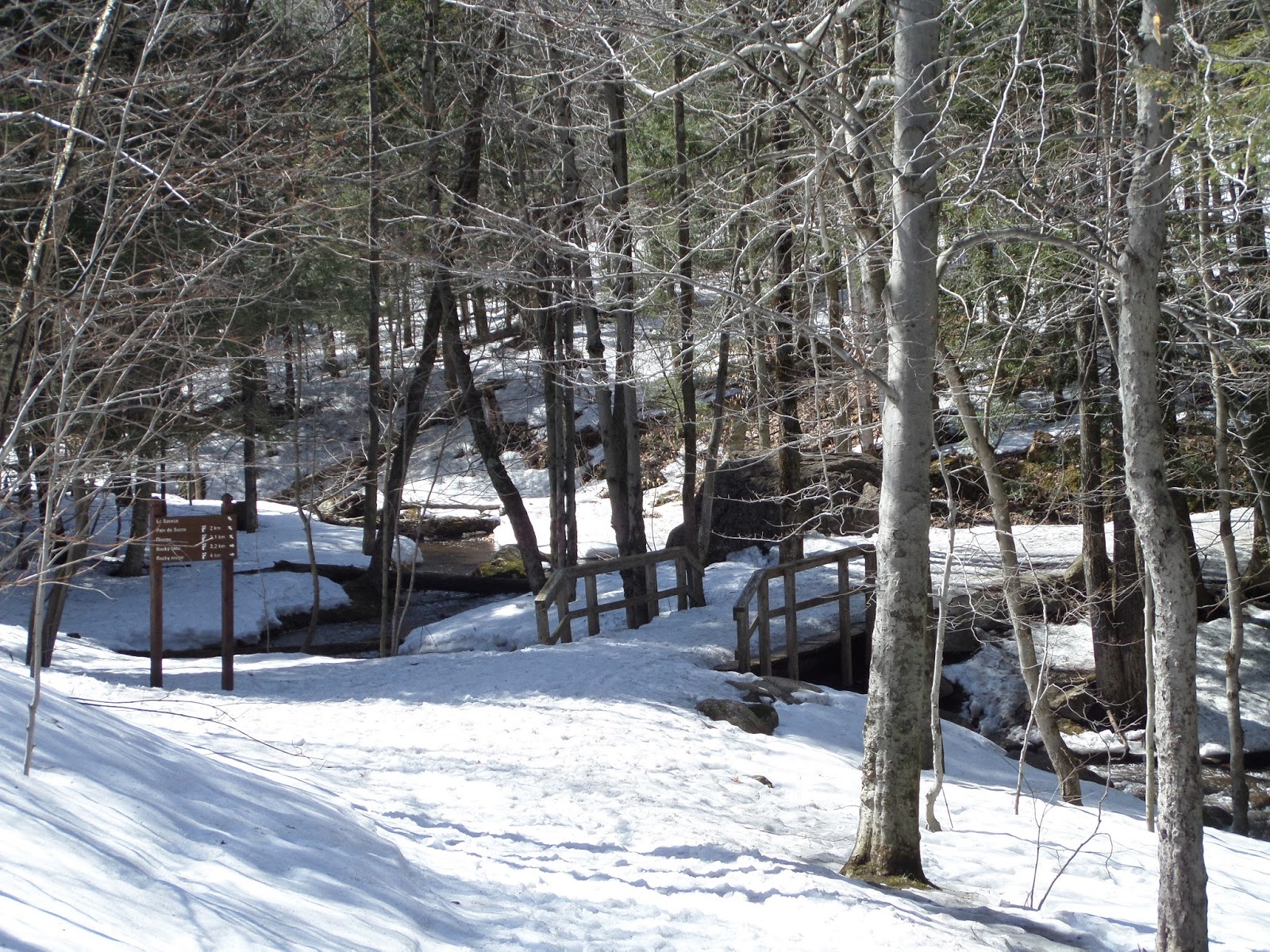 Notre chemin Randonnée au Mont Saint Hilaire