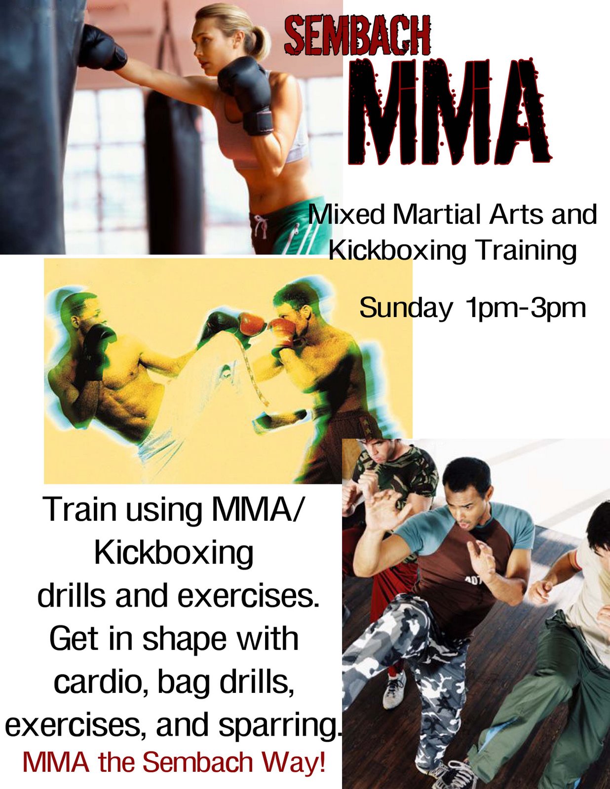 Mountain Top & Sembach Martial Arts