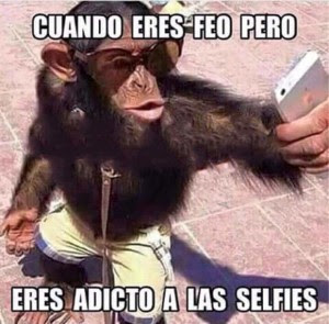 Fotos divertidas de animales para reír: Fotos divertidas de animales para reír: