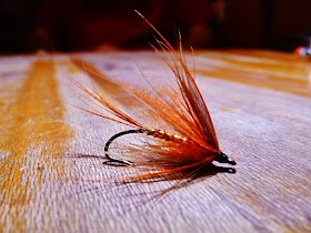 SOFT~HACKLE JOURNAL: Spey-Inspired Trout Flies