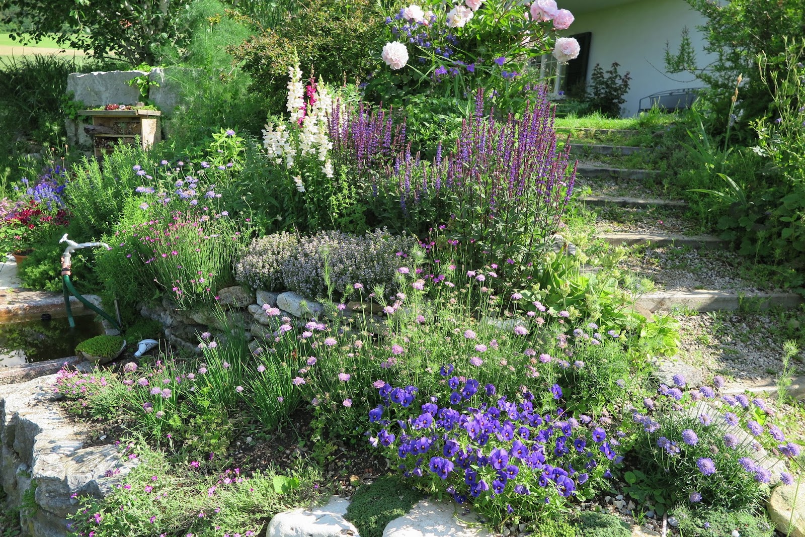 JURA GARTEN Garten im Juni