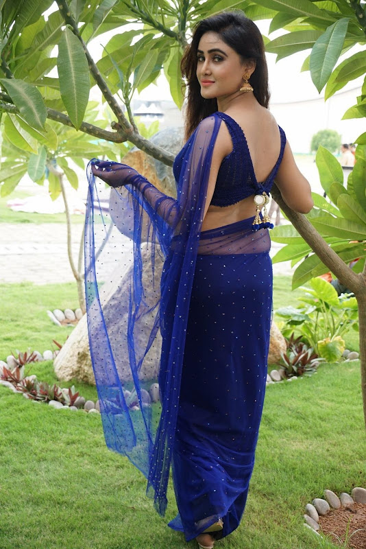 Sony Charishta Stills in Blue Saree