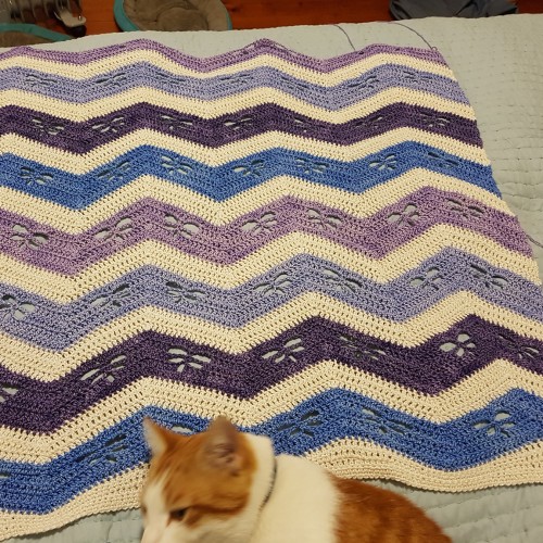 Beautiful Skills Crochet Knitting Quilting Dragonfly Chevron