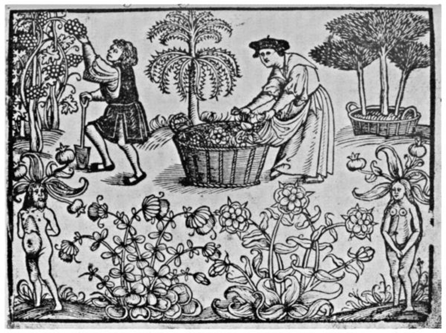 Ecocriticism and Medieval England Herbal Remedy for Disease in