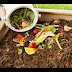 How to make fertilizer from kitchen waste || kitchten wast fertilizer