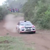 Perro Iba A Ser Atropellado Por Auto De Rally Pero Sucede Algo Inesperado