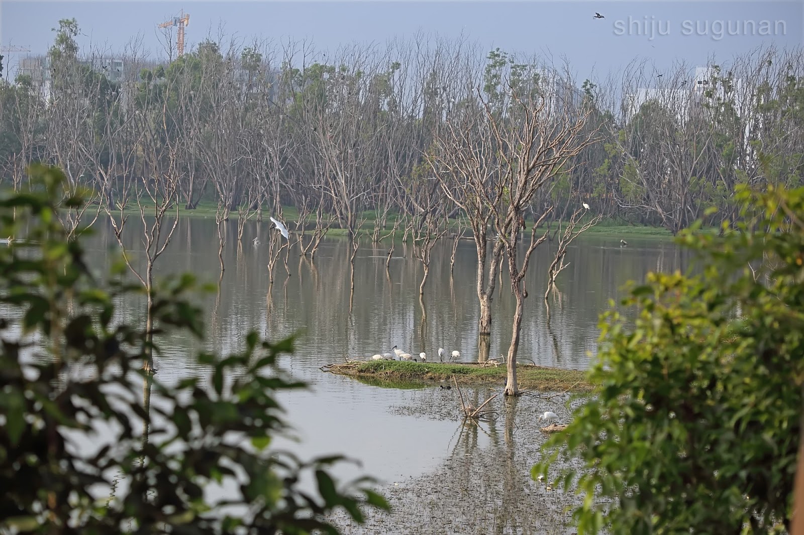 Cranium Bolts Kaikondrahalli lake visit