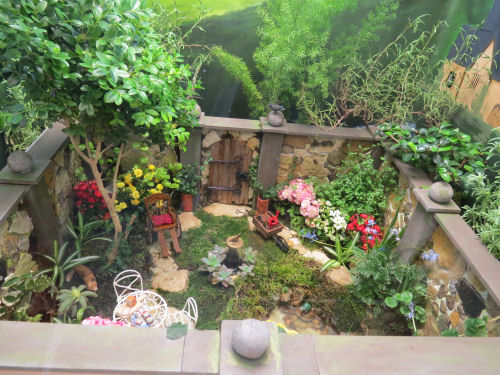 Philadelphia Flower Show 2019- Miniatures