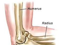 Elbow Diagram Elbow Diagram