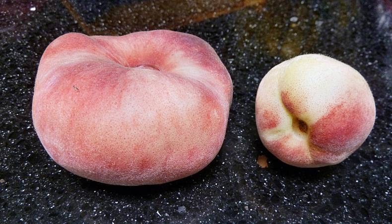 Turbohausfrau: Birnen-Pfirsich-Marmelade