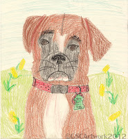 baxter boxer dog colored pencil drawing