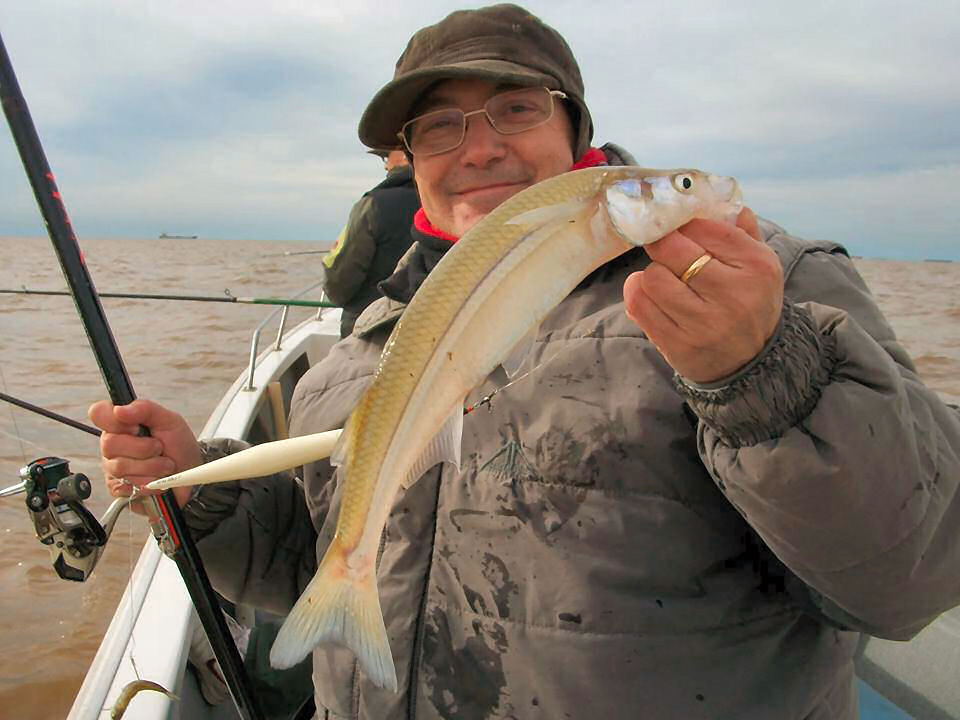 La caza la pesca el modelo para dle