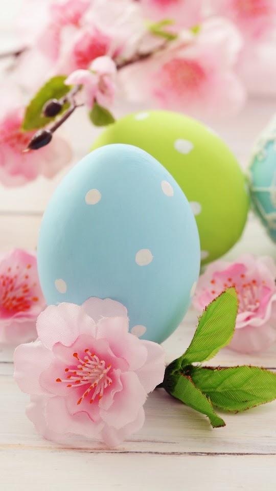   Colorful  Eggs   Android Best Wallpaper