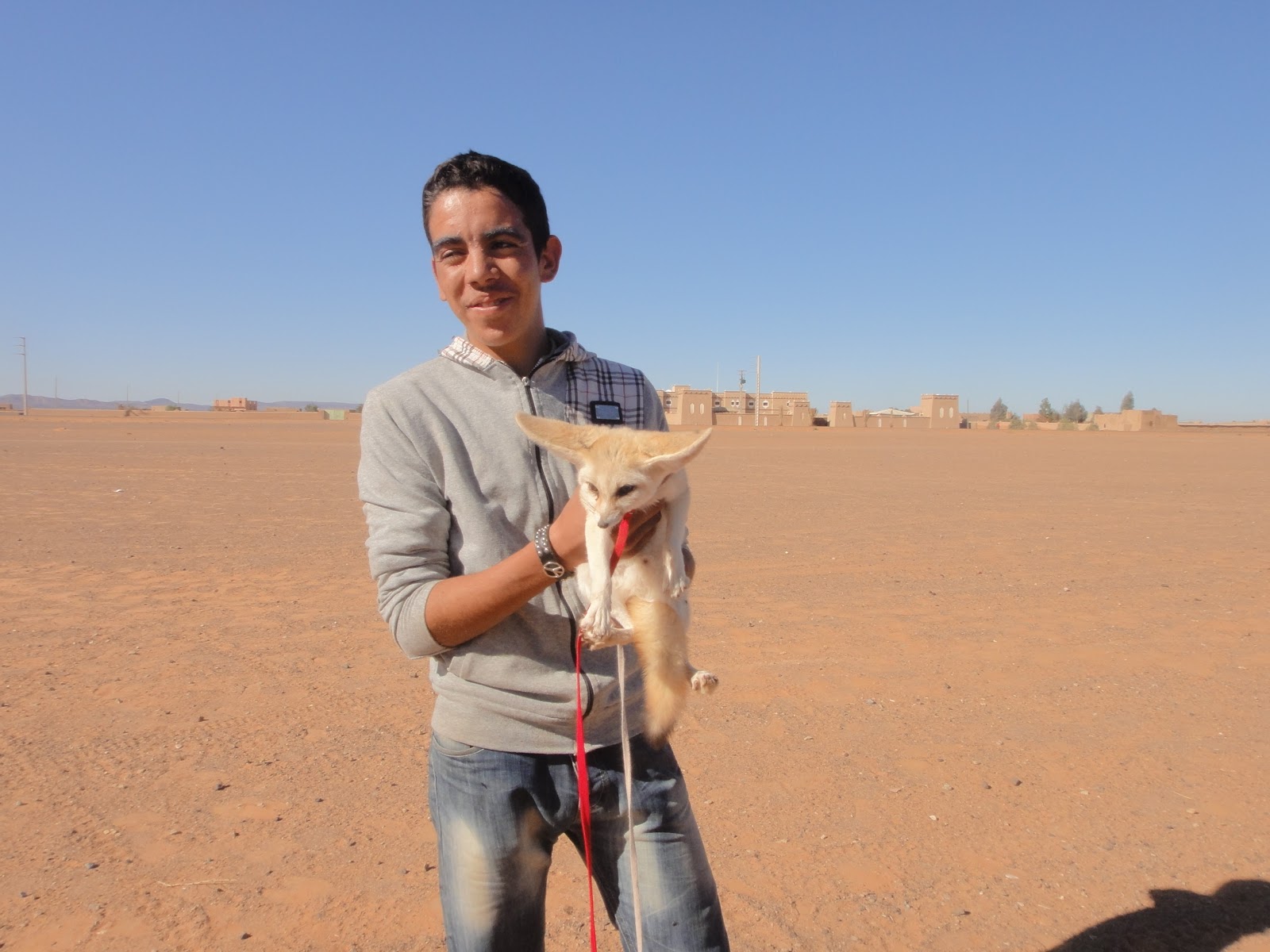 木村達也ブログ マーケティング的 砂漠の狐 モロッコ 5