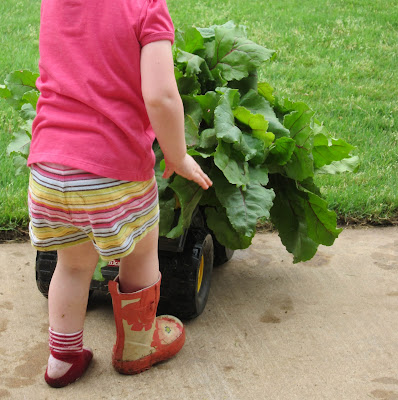 younger lass pushing dumptruck full of fresh beets with one boot on and one off