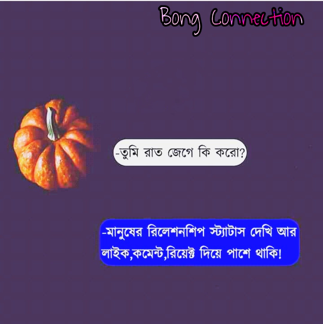 30+ Best Bengali Status For Whatsapp & Facebook 2022 বাংলা হোয়াটস