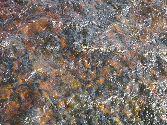 Pavement like stones beneath brown water of the Wharfe in North Yorkshire Dales National Park