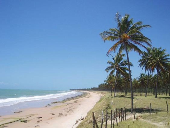 Feliz Deserto Alagoas fonte: 4.bp.blogspot.com