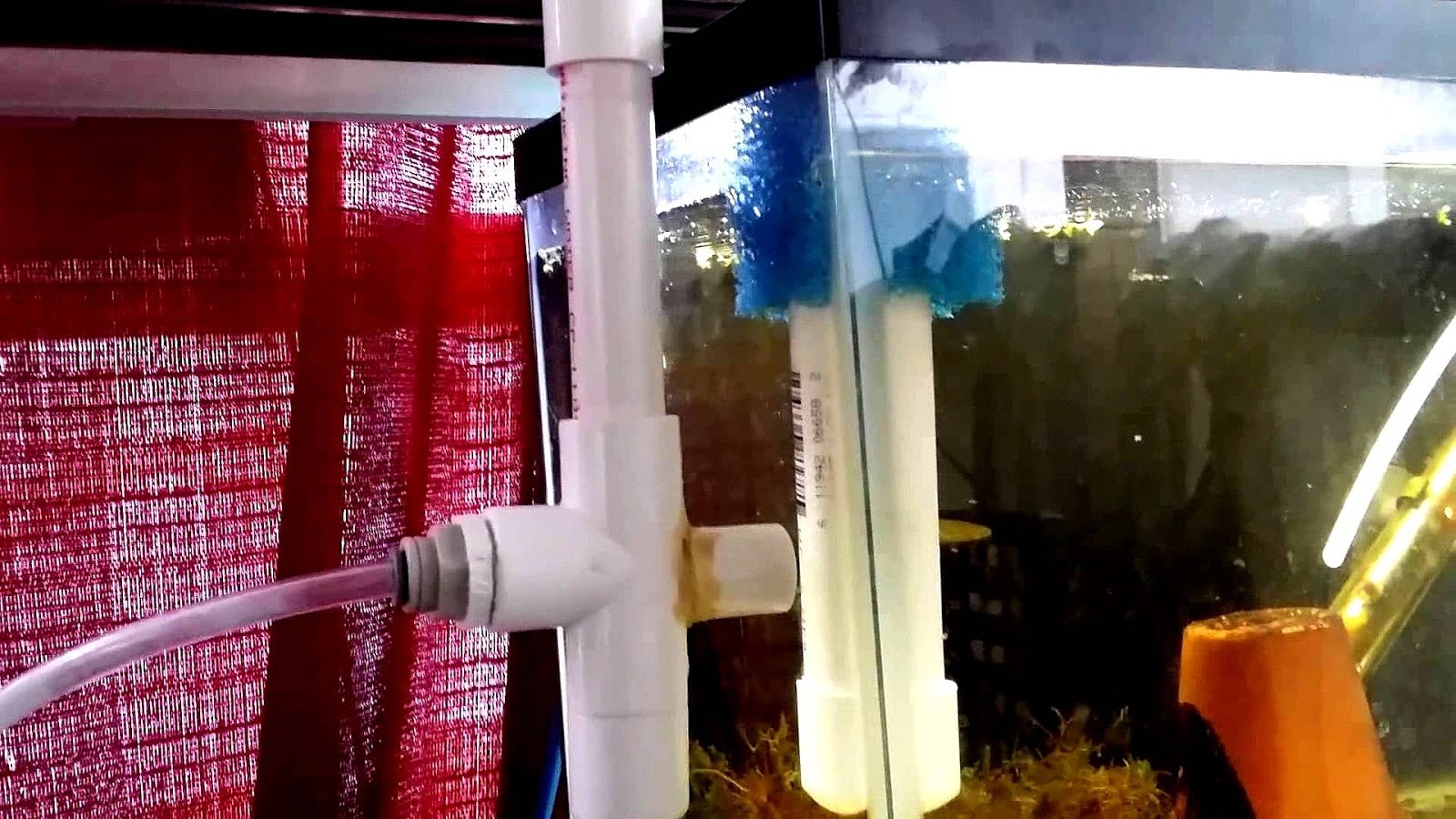 Aquarium Overflow Diy DIY Choices