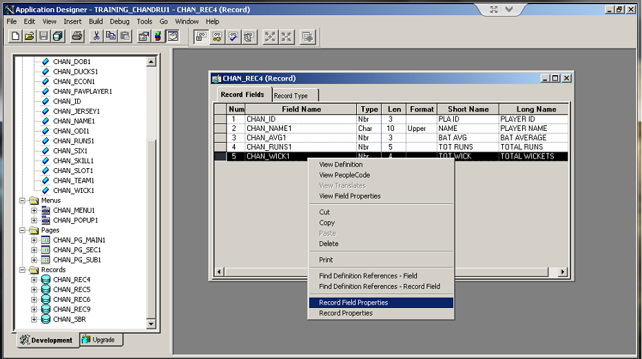 PEOPLESOFT BLOG 4 U 5. How to insert a prompt table in peoplesoft record?
