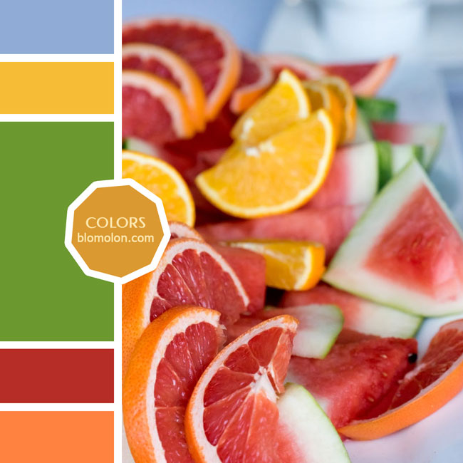 variedad en color 70 variedad_en_color_moodboard_70