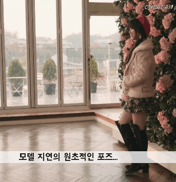 원초적 케이