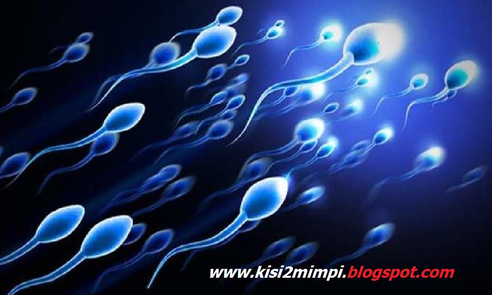 15+ Arti Mimpi Sperma