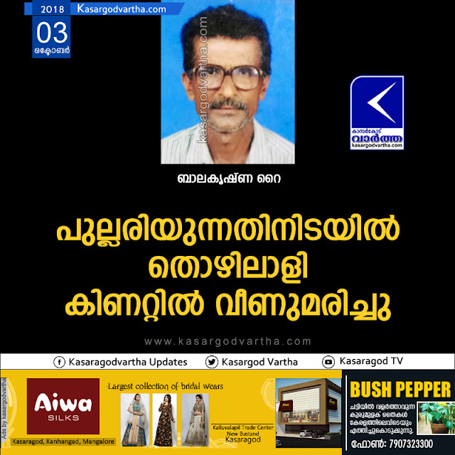 Mulleria, Kasaragod, News, Obituary, Balakrishna Rai, 64 year old man drowned to death
