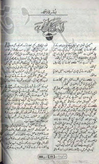 Ik nigah kafi hai by Bushra Ahmed Online Reading
