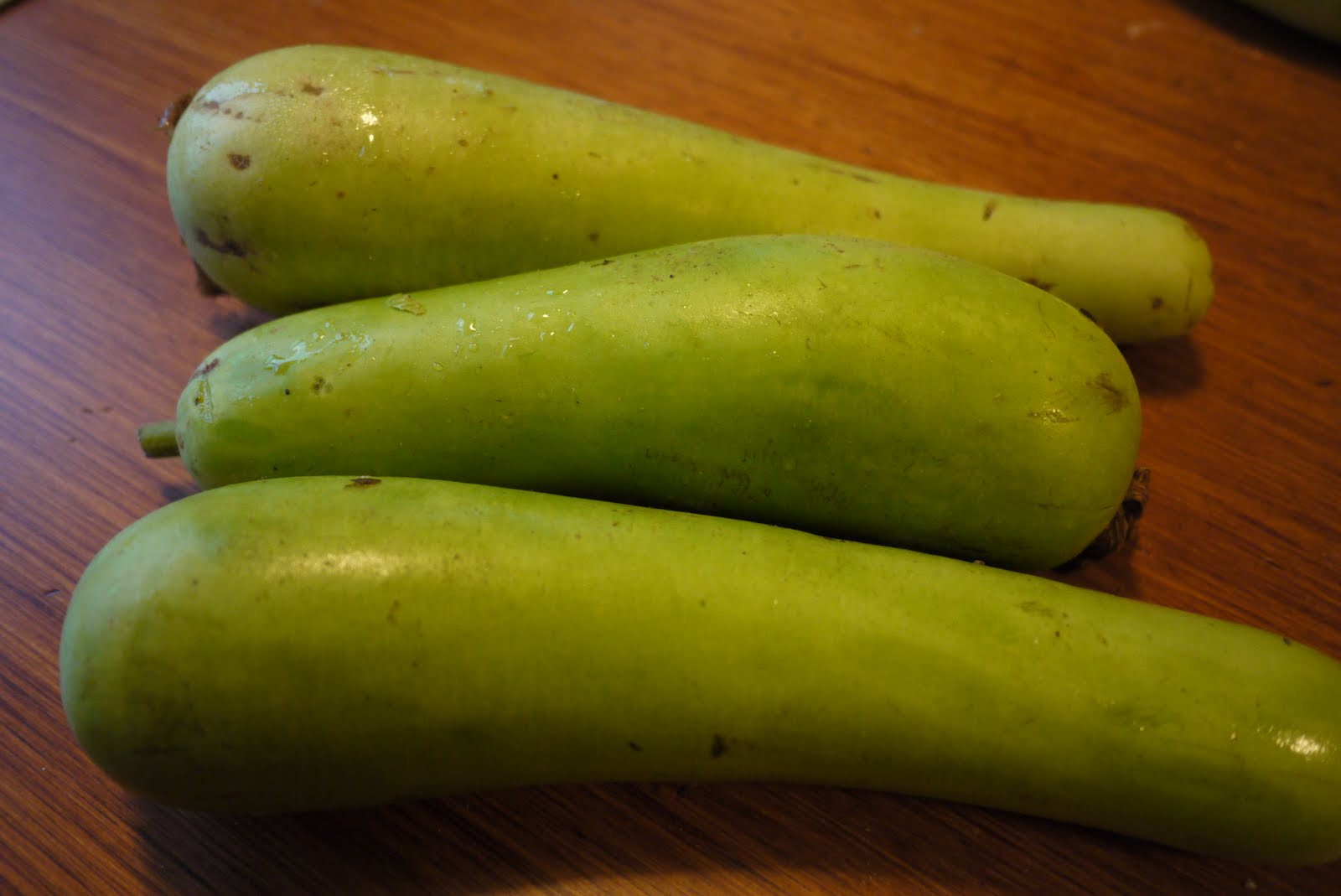 indian-and-eclectic-cooking-bottle-gourd-lauki-huzi