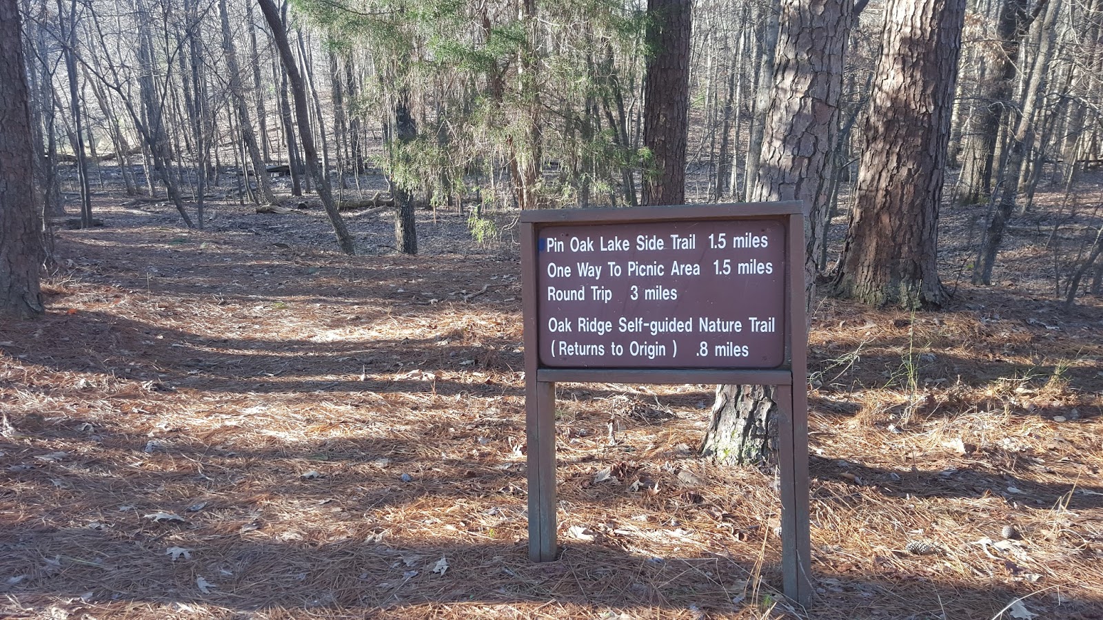 Divers And Sundry Natchez Trace State Park Trails