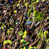 Valentino Rossi Absen, MotoGP San Marino 2017 Alami Penurunan Jumlah Penonton