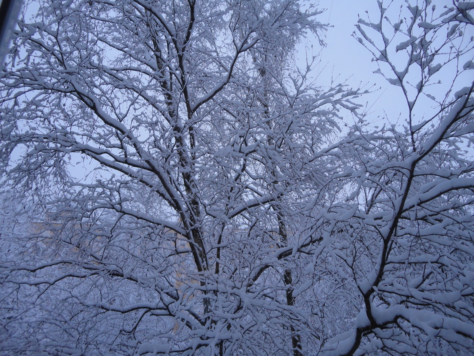 а за окном пушистый белый снег. снег пушистый за окном. снег за окном. снег пушистый за окном. а за окном пушистый белый снег – предвестник долгожданных перемен….