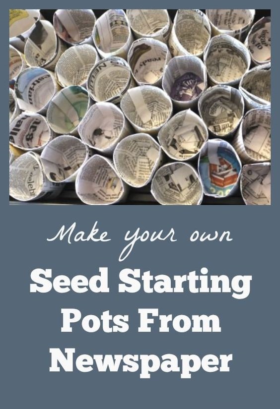 Reusing Newspaper as biodegradable planter Organic Gardening