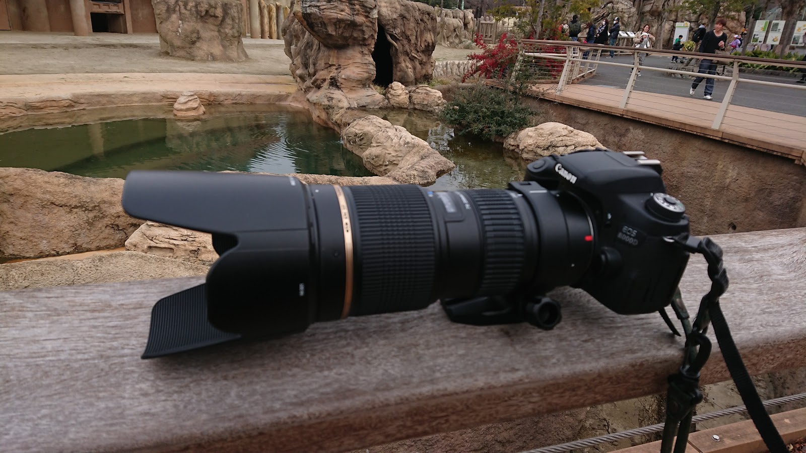 レンズ試し撮り】TAMRON SP AF70-200mm F/2.8 ＠東山動物園|とざん 
