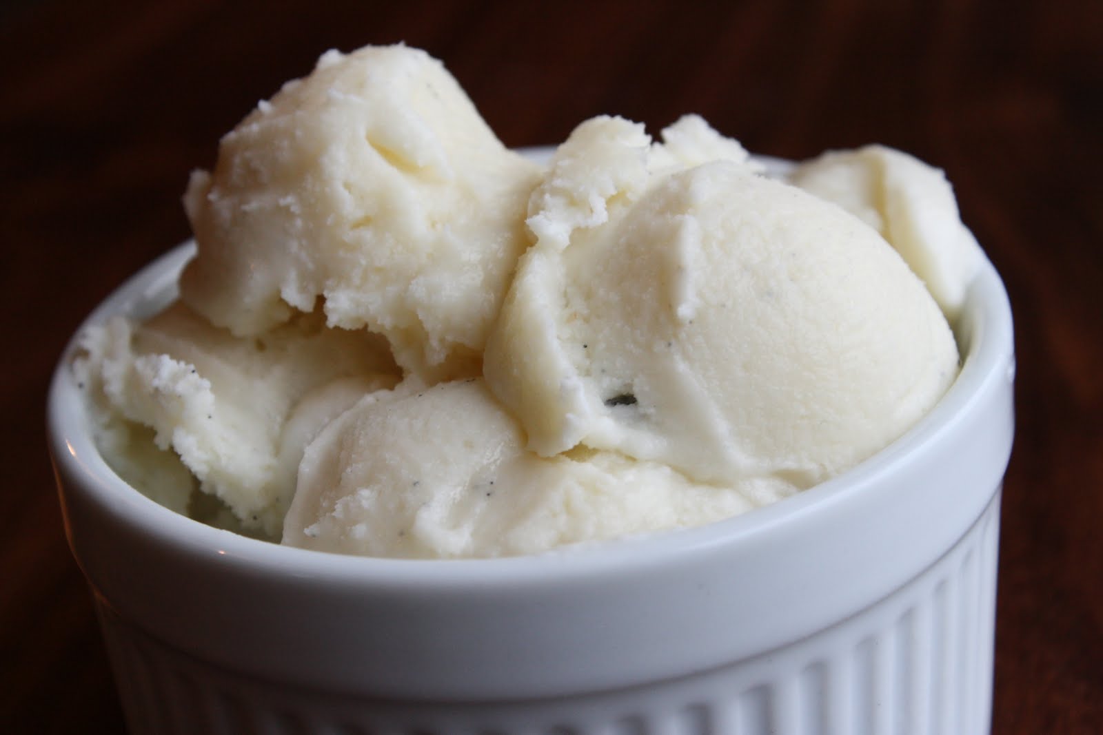 Gourmet Classic Vanilla Bean Ice Cream
