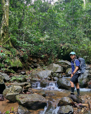 Gunung Halau-halau, Puncak Gunung Halau-Halaun, Jalur pendakian Gunung Halau-Halau, tracking Gunung Halau-Halau