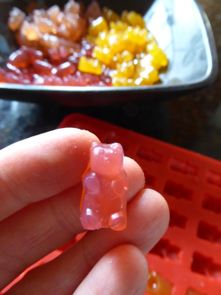 Mini Gummy Bear Mold and Dropper Set