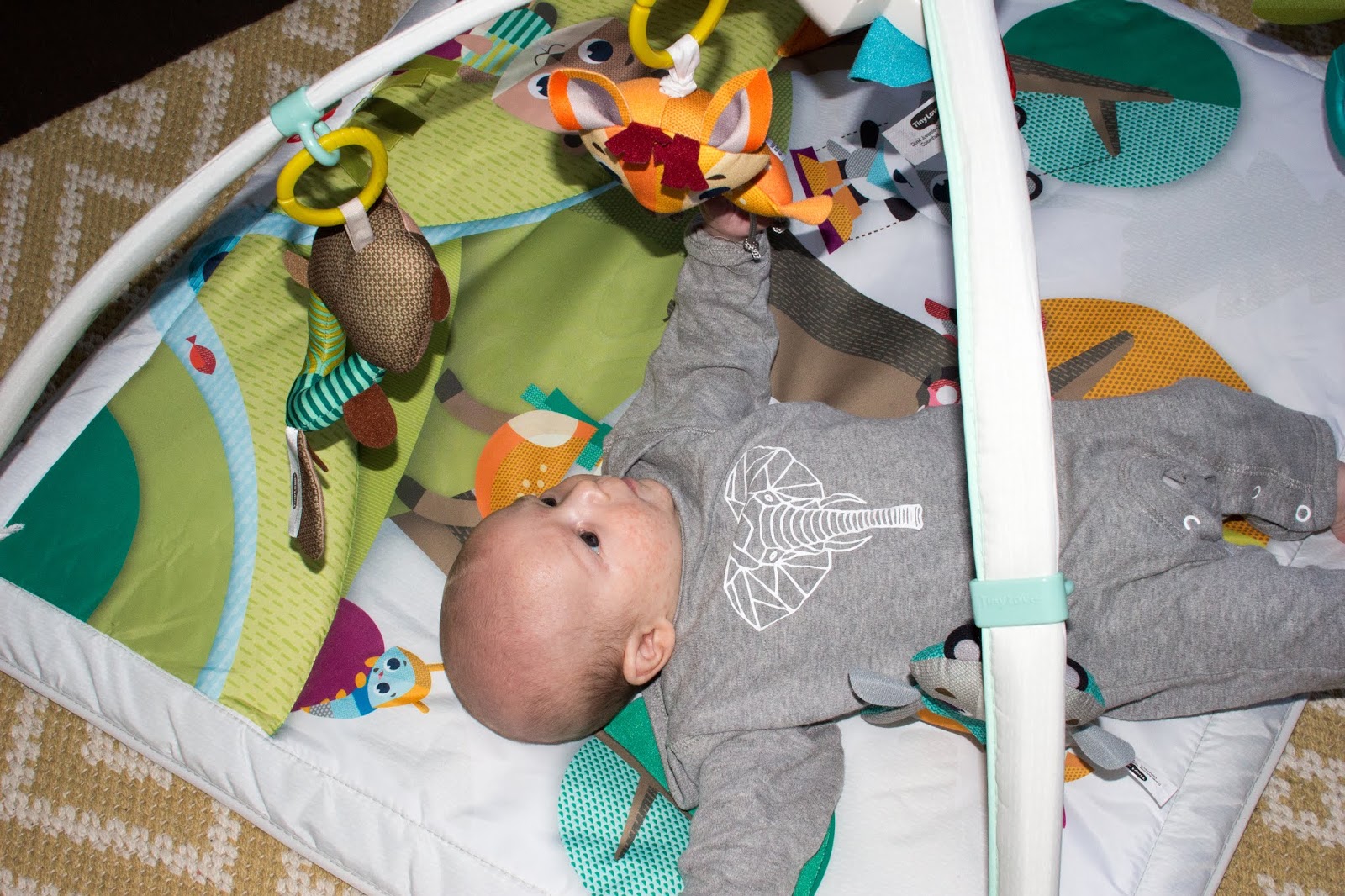 tiny love deluxe gymini into the forest gym