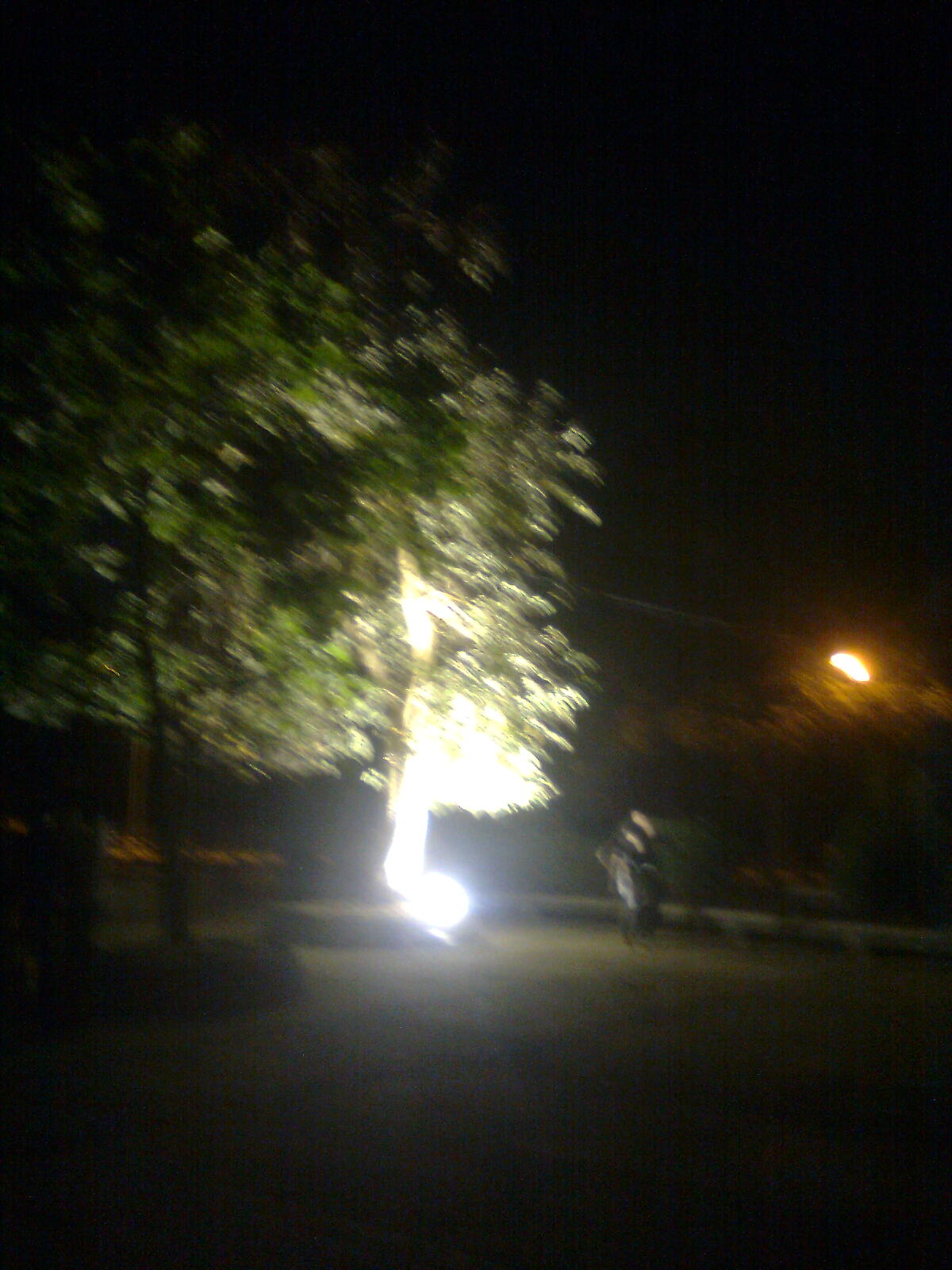 Past Life Regression In Chandigarh by Vandana Raghuvnshi_ INDIA WORLD