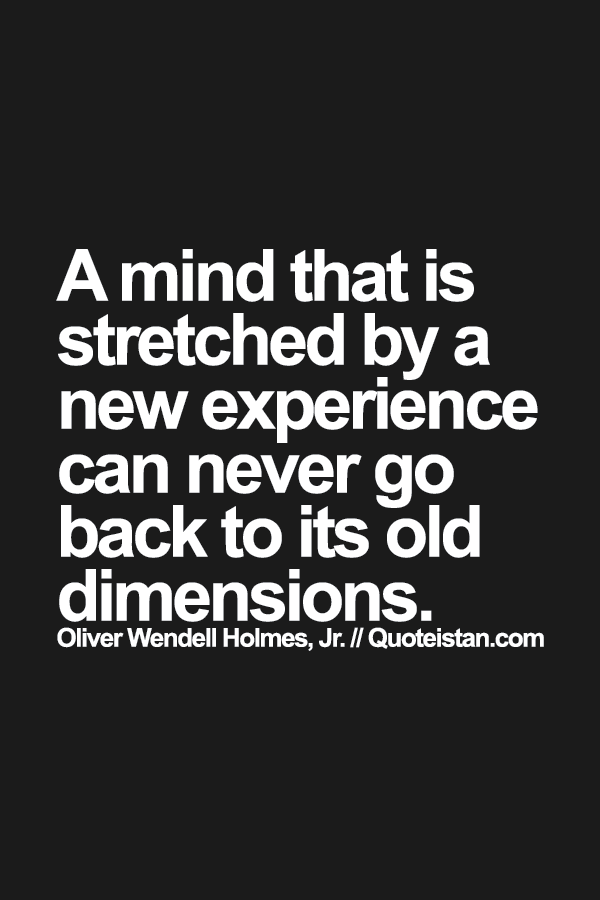 A mind that is stretched by a new experience can never go back to its old dimensions.