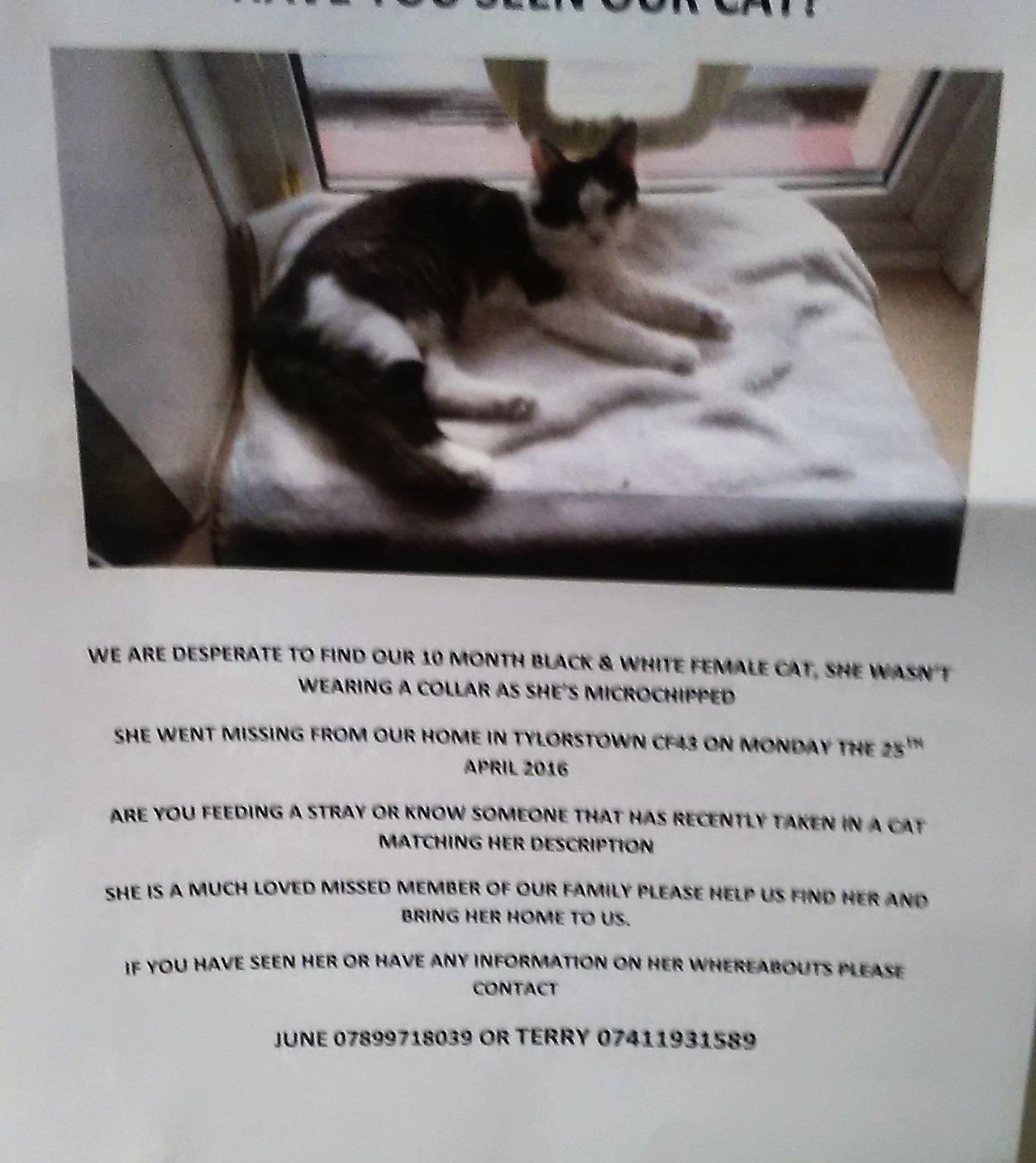 Lost and Found / Picture Gallery June 2016