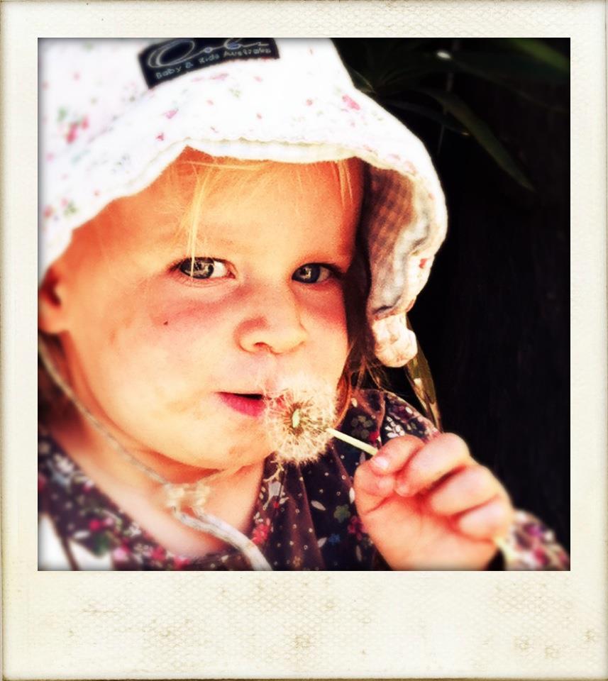 Pickles and Ice Cream Birth Support Services