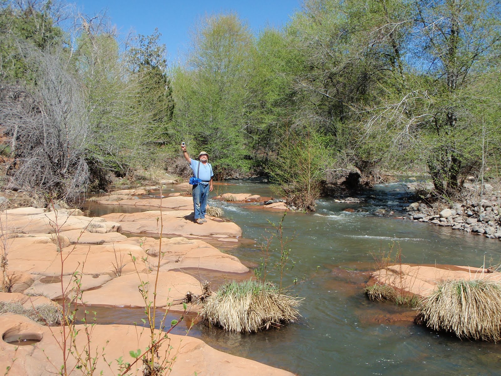 Marti's Musings Wet Beaver Creek, AZ
