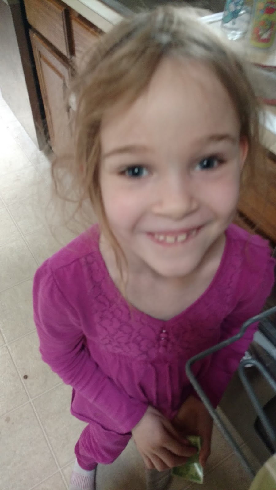 The Juliette Way Brownie Money Manager Badge