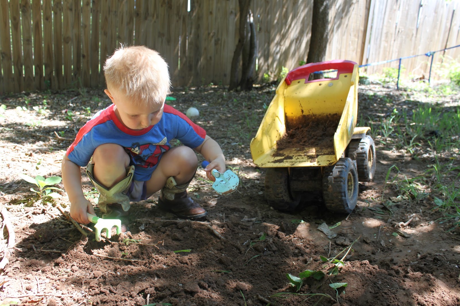 Schenk Sightings: Just a Diggin&rsquo;