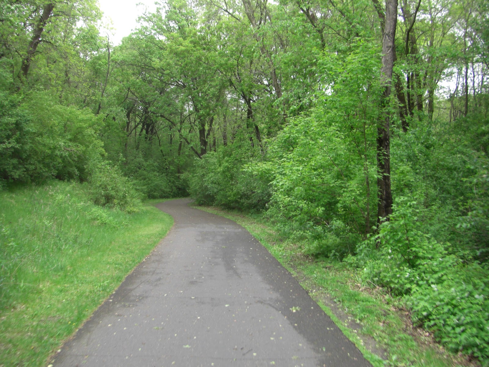 MN Bike Trail Navigator Trail Photo Gallery Battle Creek Regional
