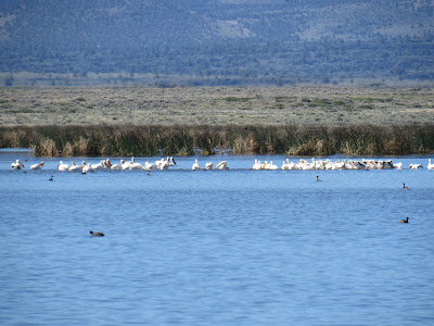 Tule Lake National Wildlife Refuge California