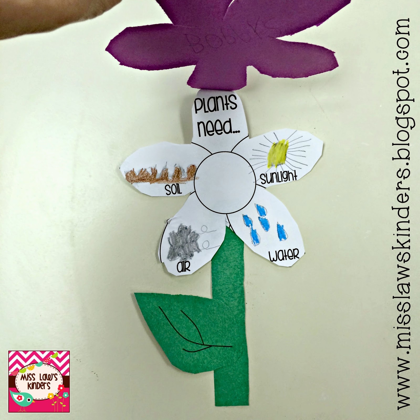 Miss Law's Kinders Plant Life Cycles Unit{Day 1}